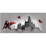 Fototapeta 1dílná,  Harry Potter FTDNH5517, 170 x 75 cm - Fototapeta
