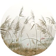 Samolepicí dekorace kulatá,  Reeds CR3204, 70 x 70 cm - Self-Adhesive Decoration