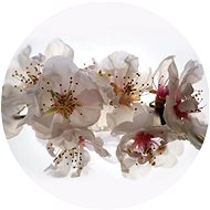 Samolepicí dekorace kulatá,  Floating Flowers CR3206, 70 x 70 cm - Self-Adhesive Decoration