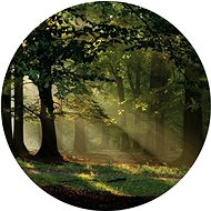 Samolepicí dekorace kulatá,  Magic Forest CR3210, 70 x 70 cm - Self-Adhesive Decoration