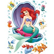DK864 Self-adhesive Decoration ARIEL 65 x 85cm - Self-Adhesive Decoration