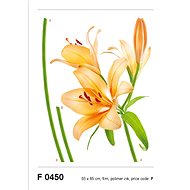 F0450 Self-adhesive Decoration LILY ORANGE 65 x 85cm - Self-Adhesive Decoration