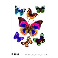 F1037 Self-adhesive Decoration BUTTERFLIES 65 x 85cm - Self-Adhesive Decoration