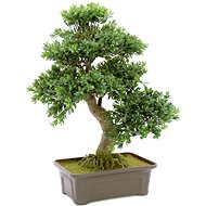 Bonsai in a box - Artificial Tree
