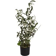 Olive tree with fruit, 68 cm - Artificial Tree