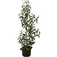 Olive tree with fruit, 90 cm - Artificial Tree