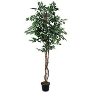Silver ficus Benjamin,180 cm - Artificial Tree