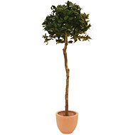 Laurel tree round, 180 cm - Artificial Tree