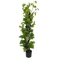 Vine with grapes, 160 cm - Artificial Tree