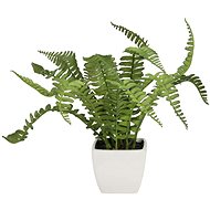 Boston fern in pot, 25 cm - Artificial Grass