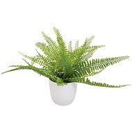 Fern in pot, 27 cm - Artificial Grass
