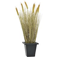Wheat in harvest in a pot, 60 cm - Artificial Grass