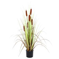 Typha angustifolia, 120 cm - Artificial Grass
