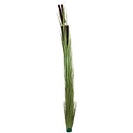 Water columbine, light green with buds, 152 cm - Artificial Grass