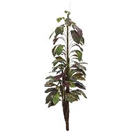 Croton with coconut trunk, 180 cm - Artificial Flower