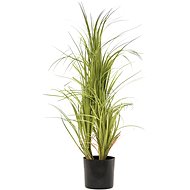 Dracena, 80 cm - Artificial Flower