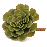 Echeveria cactus, 15 cm - Artificial Flower