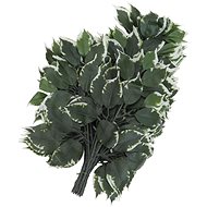 Ficus twigs, pack of 12 - Artificial Flower