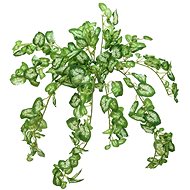 Nephthytis trs, 50 cm - Artificial Flower