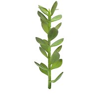 Penny-pincher, 30cm - Artificial Flower