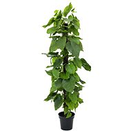 Pothos tree, 180 cm - Artificial Flower