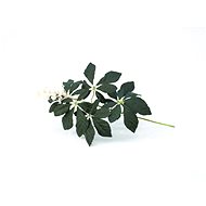 Chestnut branch with buds, green, 60 cm - Artificial Flower