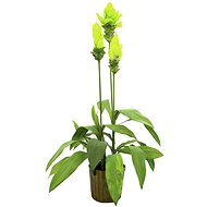 Ginger flower in pot 95 cm - Artificial Flower