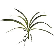 Orchidej listy, zelené, 45 cm - Umělá květina