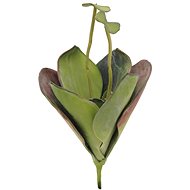 Leknín zelený, zavřený, 45 cm - Umělá květina