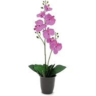 Orchidej nachová, 57 cm - Artificial Flower