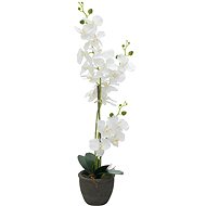 Orchidej s bílými květy, 80 cm - Umělá květina
