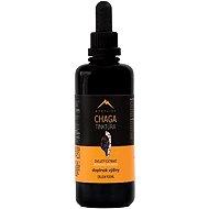 Hrotlife Chaga tincture 100 ml - Chaga