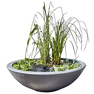 HEISSNER Lotusgarden Solar mini pond 58 × 19 cm, anthracite - Pond