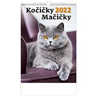 HELMA Kittens/Cats 2022 - Wall Calendar