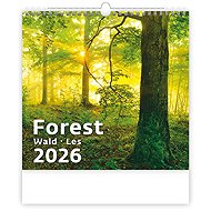 Helmet Forest/Wald/Les 2026, 30 × 30 cm - Wall Calendar