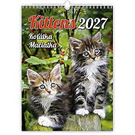 HELMA 365 Kittens/Kittens/Pussies 2027 - Wall Calendar