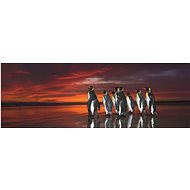 HEYE Royal Penguins Panoramic Puzzle 1000 pieces - Jigsaw Puzzle