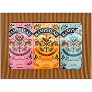 Hampstead Tea BIO Gift pack selection of herbal teas 3 × 20 pcs - Tea