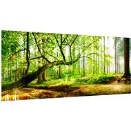 LIOX Forest in the sunlight, 120 × 55 cm - Painting