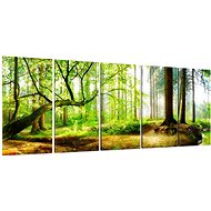 LIOX Forest in the sunlight, 250 × 100 cm, five-piece - Painting