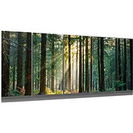 LIOX Silent forest, 200 × 80 cm, five-piece - Painting