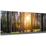 LIOX Morning in the forest, 200 × 80 cm, five-piece - Painting
