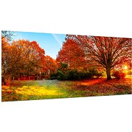 LIOX Image of a tree in the sunlight, 45 × 20 cm - Painting