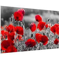 LIOX Poppy painting, 100 × 65 cm - Painting