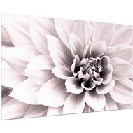 LIOX Painting white flower, 60 × 40 cm - Painting