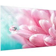 LIOX Picture pink chrysanthemum, 100 × 65 cm - Painting