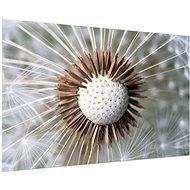 LIOX Painting dandelion, 150 × 100 cm - Painting