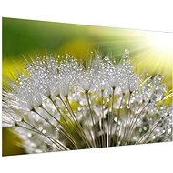 LIOX dandelion fluff, 120 × 80 cm - Painting