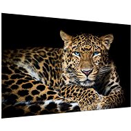 LIOX Painting leopard, 100 × 65 cm - Painting