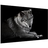 LIOX Black and white wolf painting, 60 × 40 cm - Painting